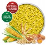 Biotron - Nativos - Sabor Banana - 500g - imagem 2