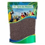 Semente de Alface Crespa - Grand Rapids TBR  - 100g
