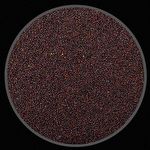 Semente de Couve Manteiga Da Georgia  - 100g - imagem 2