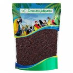 Semente de Couve Manteiga Da Georgia  - 100g