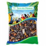 Mistura Papagaio - Frutas - 500g