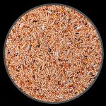 Mistura Periquito - Européia - 500g - imagem 2