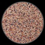 Mistura Canários - Super Canto - 500g - imagem 2