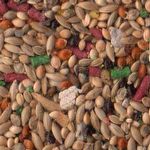 Reino das Aves - Galo de Campina e Cardeal - Gold Mix - 500g - imagem 2