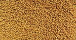 Nutrópica - Calopsita - Natural - 600g - imagem 2