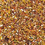 Alimento Pixarro Insetos Com Larvas de Tenébrio - 500g - imagem 2