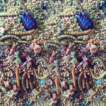 Reino das Aves - Corrupião - Gold Mix - 500g  - imagem 2