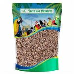 Semente de Funcho - 100g