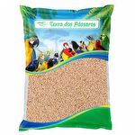 Painço Nordestino - 500g