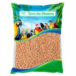 Arroz Cateto - 500g
