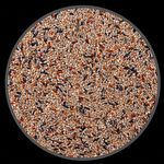 Mistura Canário da Terra - Coleira - 500g - imagem 2