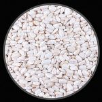 Girassol Branco Egípcio - 400g - imagem 2