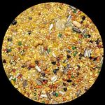 Raposo - Farinhada C/ Mel para Calopsita - Linha Nobre - 500g - imagem 2