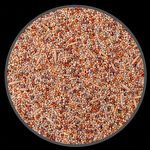 Mistura Periquito - 500g - imagem 2