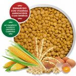 Biotron - Papagaio do Congo - 5kg - imagem 2