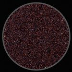 Painço Preto - 200g - imagem 2