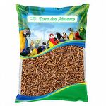 Tenébrio Comum Desidratado - Pequeno - 200g