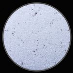 Areia Aromatizada com Erva Doce - 10 kg - imagem 2