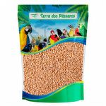 Arroz Cateto - 200g