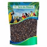Trigo Sarraceno - 200g