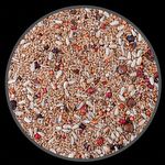 Mistura de Sementes Trinca Ferro - 500g - imagem 2