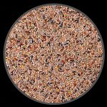 Mistura Diamante Gould - Mandarim - Extra - 5kg - imagem 2