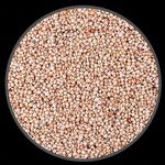 Sorgo Branco - 5 kg - imagem 2
