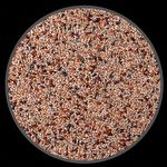 Mistura Pássaros Exóticos - Diamante e Mandarim - 200g - imagem 2