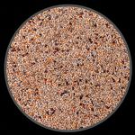 Mistura Pássaros Nativos - Coleiro - Bigodinho - 500g - imagem 2