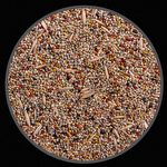 Mistura Pássaros da Natureza - 500g - imagem 2