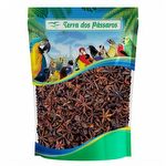 Anis Estrelado - 100g