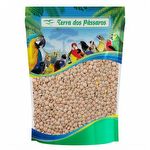 Semente de Lentilha Canadense - 100g