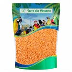 Semente de Lentilha Vermelha - 100g