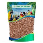 Semente de Trigo em Grãos - 100g