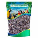 Girassol Gigante - 100g