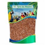 Gammarus Camarão Desidratado - 20g