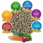 Biotron - Alimento para Roedores Gerbos - 500g - imagem 2