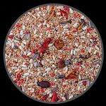 Trinca Ferro Fogoso - 200g - imagem 2