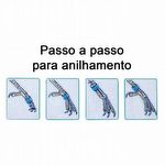 Anilhas Fechadas para Marcação - 2.2 mm - Coleiro - 20 un. - Dourado - imagem 3