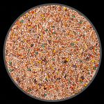 Mistura Agapornis Calopsita - Extra Light - Sem Girassol - 500g - imagem 2