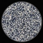 Mix de Gergelim - Preto e Branco - 200g - imagem 2