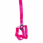Guia e Peitoral H para Calopsita - Rosa