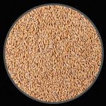 Arroz Cateto - 10 kg - imagem 2