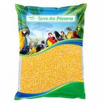Quirera de Milho - Média - G3 - 5kg