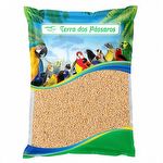 Painço Cearense - 2,5kg