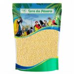 Painço em grãos descascado - 500g