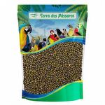 Semente de Feijão Moyashi - 500g