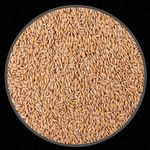 Arroz Cateto - 2,5 kg - imagem 2