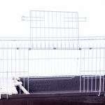 Gaiola Coelho Confort - 100cm - imagem 3