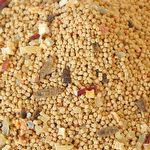 Alcon Club - Silvestres Mix com Larvas e Frutas - 550g - imagem 2